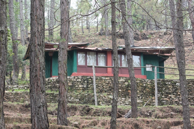 Room View of Chestnut Grove Himalayan Lodge